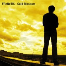 Обложка FReNeTIC – Flare3