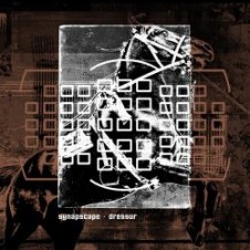 Обложка Synapscape – Discorrode