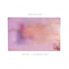 Обложка Shallou – Doubt (Summer Edit)